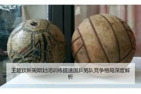 王楚钦新周期封闭训练提速国乒男队竞争格局深度解析